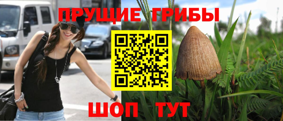 Псилоцибиновые грибы MAGIC MUSHROOMS Ялуторовск